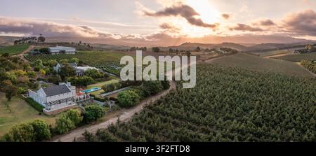 Luftaufnahme eines Weinbergs mit Reihen von Weinreben, eines Bauernhauses mit einem Schwimmbecken und sanften Hügeln unter einem goldenen Sonnenhimmel in Kapstadt, Westlichen Stockfoto