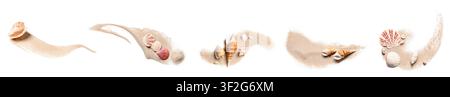 Meeresmuscheln, die auf Sandspuren auf weißem Hintergrund angeordnet sind Stockfoto
