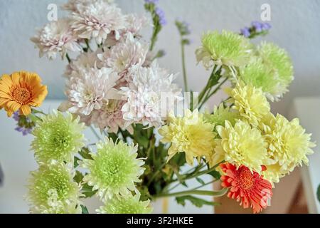 Buntes Bouquet mit Chrysanthemen in Gelb und Rosa sowie orangefarbenen und grünen Blumen, fröhliche Atmosphäre, grünlich, grün Stockfoto