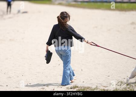 Frau geht barfuß mit Hund am Sandstrand. Sie hält Leine und Flip-Flops. Hund trottet neben ihr, wedelt mit dem Schwanz. Sonnenlicht wirft weiche Schatten auf den Sand. Stockfoto
