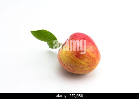 Lebendige rote Apfel mit frischem grünen Blatt ruht auf makelloser weißer Oberfläche, symbolisiert Gesundheit und natürliche Güte. Diese einfache, aber elegante Komposition Stockfoto