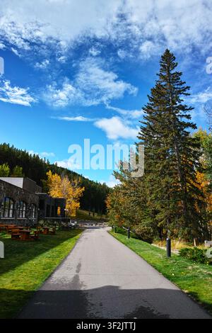 Ein gepflasterter Weg windet sich durch Gras und gemischte Bäume unter einem blauen Himmel mit vereinzelten weißen Wolken. Stockfoto