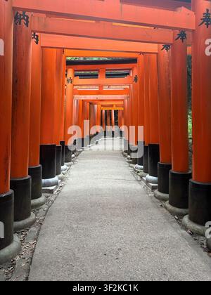 1. August 2025, Kyoto, Japan – Seitliche Blickwinkelansicht durch einen roten Torii-Tunnel am Schrein Fushimi Inari Taisha, der Kanji-Inschriften und Steinbasen zeigt. Stockfoto