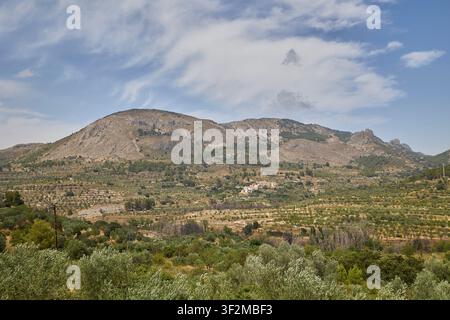 Weite Panoramasicht von mediterranen Bergen und Olivenhainen. Stockfoto
