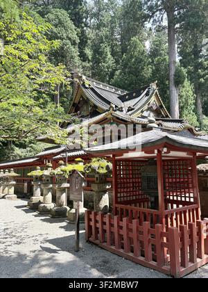 17. August 2025, NikkÅ, Japan – Verziertes schwarz-goldenes Pagoden-Dach und ein roter Tor mit moosbewachsenen Steinlaternen im UNESCO-Schreinkomplex Tosho-gu. Stockfoto