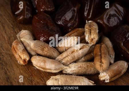 Dattensamen und Dattensteine mit Makrotextur. Eine Nahaufnahme von süßen Fruchtkernen und kleinen Steinen trockener Palmenfrüchte auf einem dunklen Holz-Hintergrund Stockfoto