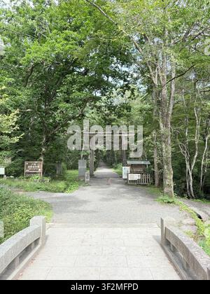 29. August 2025, Nagano, Japan – Holztorii-Tor und Steinweg durch einen üppigen grünen Wald an einem Shintoschrein in Nagano, mit sichtbaren japanischen Schildern. Stockfoto