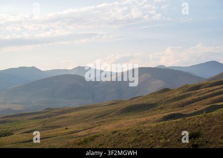 Sanfte Hügel erstrecken sich bis zu fernen Bergen unter weichen Wolken. Goldene Gräser bedecken sanfte Hänge in warmem Licht Stockfoto