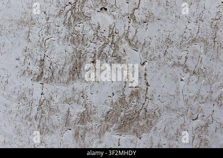 Rohe freigelegte Betonwandtexturhintergrund mit natürlichem porigem Oberflächenmuster, feinen Rissen und abgenutzten Details für moderne Architektur und Grafik Stockfoto