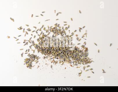 Trockene Lavendelblütenhaufen isoliert, verstreute Lavandula-Parfümkapseln, Blütenblätter, Duft-Lila-Blüten, violette Gewürzsamen, kleine getrocknete lila Blüten Stockfoto