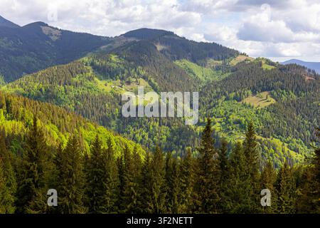 Sonnenbeschienene bewaldete Berge und grüne Täler. Weitläufiger Blick auf dicht bewaldete Berghänge mit sonnenbeschienenen grünen Lichtungen, vereinzelten ländlichen Häusern, geschichtet Stockfoto