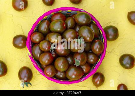 Hausgemachte biologische schwarze streifige Kirschtomaten (Sorte Chocolate sprinkle) in einem handgeflochtenen mexikanischen Palmkorb auf dem gelben rustikalen Tisch. Stockfoto