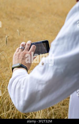 Nahaufnahme der Hand eines Mannes, der mit einem Smartphone ein Weizenfeld im Sonnenlicht fotografiert. Ein moderner Bauer dokumentiert den Fortschritt der Ernte mit mobiler Technologie in einer Stockfoto