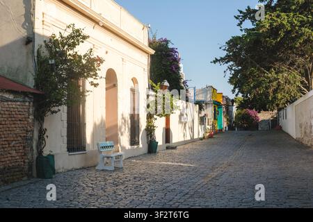 Historische Gebäude und Landschaft von Colonia, einer Stadt in Uruguay, Südamerika Stockfoto
