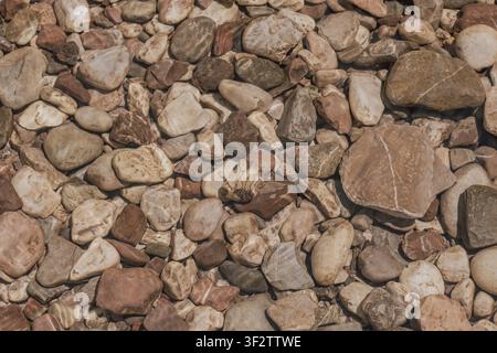 Top-Down-Detailansicht von glatten runden Flusssteinen und nassen Kieselsteinen, die auf dem Bachbett verstreut sind und natürliche erdige Töne und Texturen in einem hellen d zeigen Stockfoto