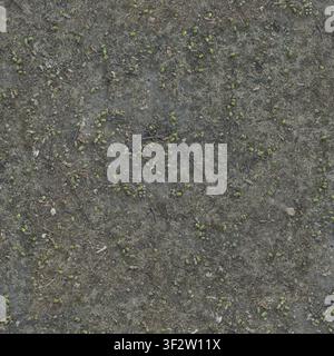 Eine Ansicht von oben auf den Waldboden, der mit gefallenen grünen Eicheln bedeckt ist, die über getrocknetes Herbstgras und Zweige verstreut liegen. Stockfoto