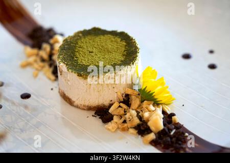 Gourmet-Platte mit Matcha-Käsekuchen, garniert mit grünem Teepulver, zerkleinerten Nüssen, Schokoladensoße und einer essbaren gelben Blume Stockfoto