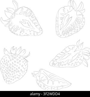 Handgezeichnete Blumen. Handgezeichnete Skizze von Erdbeerscheiben, Outline-Vektorillustration, Sketch-Banner, Icon und Logo-Design, Erdbeerzweig Stock Vektor