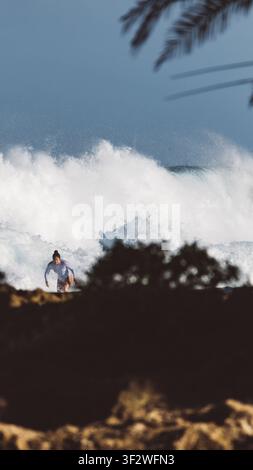 HALEIWA, NORTH SHORE, HAWAII - 19. JANUAR 2022: Ein Surfer reitet durch Weißwasser, das hinter dunklem Dünengras an der North Shore zu sehen ist. Stockfoto
