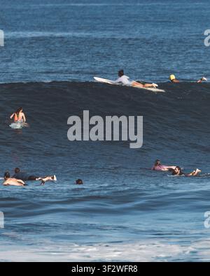 HALEIWA, NORTH SHORE, HAWAII - 19. JANUAR 2022: Ein Surfer paddelt auf eine Welle zu, während andere in der Warteschlange an der North Shore warten. Stockfoto