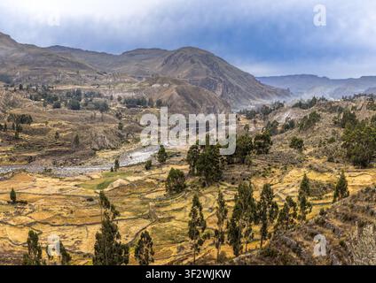 Terrassenlandschaft des Andentalers im Colca-Tal mit Fluss, schroffen Bergen und traditioneller Hochland-Landwirtschaft im Süden Perus Stockfoto