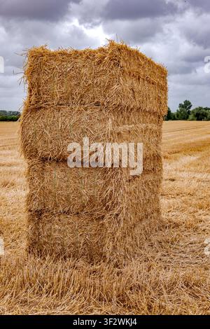 Gestapelte rechteckige Strohballen auf einem abgeernteten Agrarfeld unter einem dramatischen bewölkten Himmel in Coesfeld, Deutschland Stockfoto