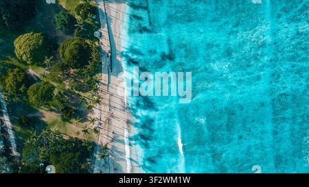 Eine Luftaufnahme zeigt einen palmengesäumten Uferweg neben türkisblauem Wasser in Waikiki, Oahu. Stockfoto