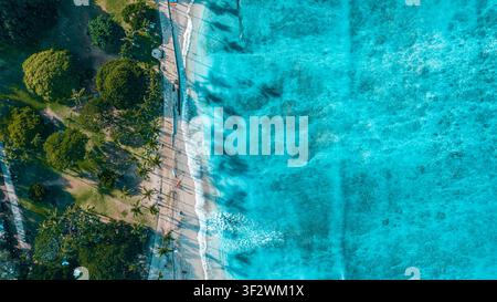 Eine Luftaufnahme zeigt einen palmengesäumten Uferweg neben türkisblauem Wasser in Waikiki, Oahu. Stockfoto