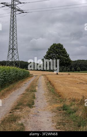 Ländliche Schotterstraße mit einem Strommast und einem einsamen Baum in Coesfeld, Deutschland Stockfoto