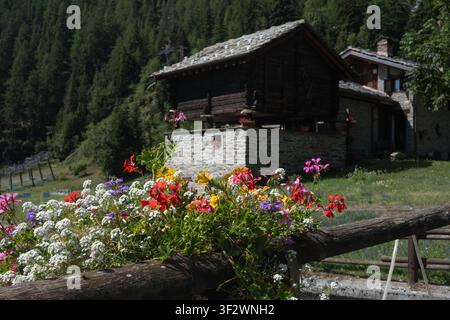 Lebendige Blumen blühen auf einem rustikalen Holzgeländer bei hellem Tageslicht mit Blick auf ein traditionelles Stein- und Holzhaus in einem ruhigen Wald Stockfoto