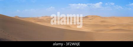 Ein weitläufiger Panoramablick über die endlosen goldenen Sanddünen der Namib-Wüste in der Nähe von Swakopmund unter einem strahlend blauen Himmel in Namibia. Stockfoto