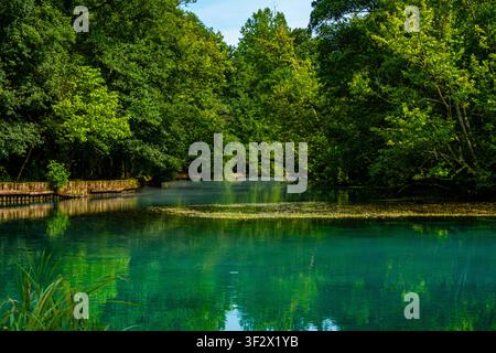 Kristallklarer türkiser Quellsee, umgeben von üppigem Wald im Norden Italiens Stockfoto
