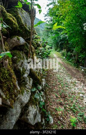 Waldweg neben einer moosbewachsenen Steinmauer in Norditalien Stockfoto