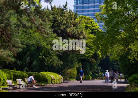 Die östlichen Nationalgärten des Kaiserpalastes bieten eine ruhige Oase in der geschäftigen Stadt Tokio. Besucher schlendern entlang gewundener Pfade unter üppigem Stockfoto