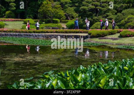 Der Ninomaru-Garten, der innerhalb der kaiserlichen Ostnationalgärten in Tokio liegt, bietet mit seinen sorgfältig gepflegten Landschaften eine ruhige Oase Stockfoto