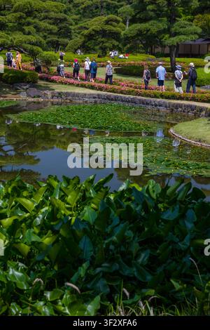 Der Ninomaru-Garten, der im Kaiserpalast Ost-Nationalgarten von Tokio liegt, bietet mit seinem malerischen Teich, der mit Wasser geschmückt ist, eine ruhige Oase Stockfoto