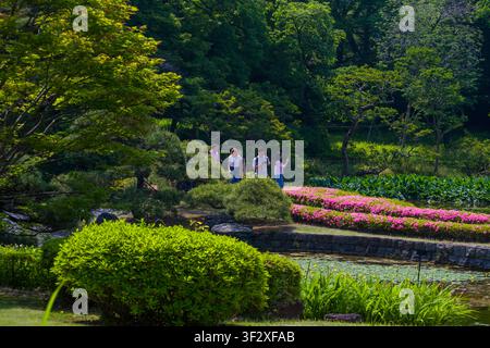 Der Ninomaru-Garten, der innerhalb der kaiserlichen Ostnationalgärten in Tokio liegt, bietet mit seinen sorgfältig gepflegten Landschaften eine ruhige Oase Stockfoto