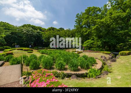 Der Ninomaru-Garten, der sich innerhalb der kaiserlichen Ostnationalgärten in Tokio befindet, präsentiert ein wunderschön angelegtes Beispiel traditioneller japanischer Gärten Stockfoto