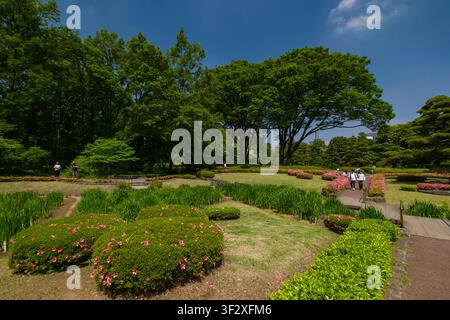 Der Ninomaru-Garten, der im Imperialen Palast Ost-Nationalgärten liegt, bietet eine ruhige Oase im Herzen von Tokio. Dieser sorgfältig gepflegte Stockfoto