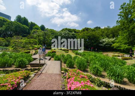 Der Ninomaru-Garten, der sich innerhalb der Imperial Palace East National Gardens befindet, bietet mit seinen sorgfältig gestalteten Anlagen eine ruhige Oase. Besucher c Stockfoto