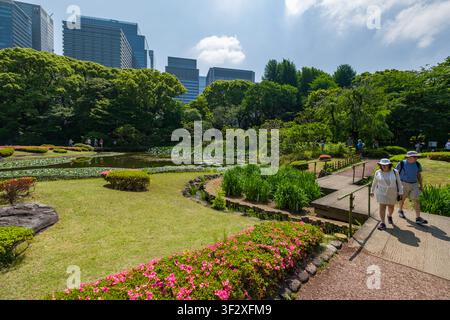 Der Ninomaru-Garten, der innerhalb der kaiserlichen Ostnationalgärten liegt, bietet eine ruhige Oase inmitten der geschäftigen Stadtlandschaft von Tokio. Dieser traditionelle Stockfoto