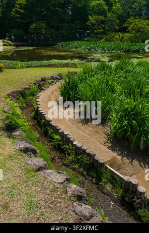 Der Ninomaru-Garten, der innerhalb der Kaiserpalast-Ost-Nationalgärten in Tokio gelegen ist, präsentiert eine ruhige Landschaft mit einem friedlichen Teich, umgeben Stockfoto