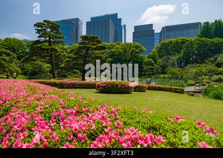 Der Ninomaru-Garten, der sich innerhalb der kaiserlichen Ostnationalgärten in Tokio befindet, bietet eine ruhige Oase inmitten moderner Stadtlandschaften. Dieser sorgfältig Stockfoto