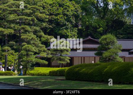 Der Ninomaru-Garten, der im Kaiserpalast Ost-Nationalgarten liegt, bietet eine ruhige Flucht in traditionelles japanisches Landschaftsdesign. Besucher Stockfoto