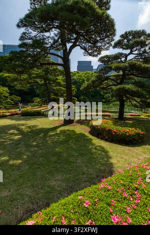 Der Ninomaru-Garten, der innerhalb der kaiserlichen Ostnationalgärten liegt, präsentiert eine ruhige Landschaft, die traditionelle japanische Gartenbaukunst zeigt Stockfoto