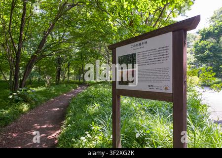 Ninomaru Woods, gelegen innerhalb der Kaiserpalast-Ost-Nationalgärten in Tokio, bietet eine ruhige Flucht in die Natur. Besucher können entlang des windigen Pfades schlendern Stockfoto