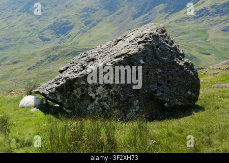 Ein Schaf sucht Schutz vor der Sommersonne im Schatten eines großen, von Flechten bedeckten Gletscherfindlings auf einer offenen Hügelkuppe, Snowdonia, Nordwales, UK Stockfoto