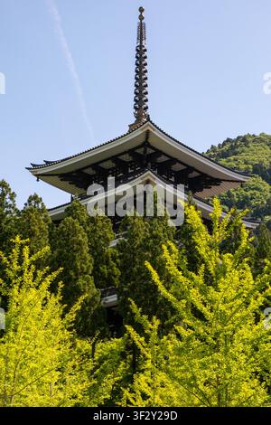 Die fünfstöckige Pagode am Daishiyama-Seidai-Tempel ist ein bekanntes Wahrzeichen in Katsuyama, Präfektur Fukui. Umgeben von üppiger Vegetation und Si Stockfoto