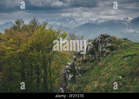 Rollende Berglandschaft mit frischen grünen Bäumen und schroffen Felsen, mit fernen schneebedeckten Gipfeln unter einem bewölkten Himmel Stockfoto