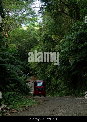 Rotes Tuk Tuk auf einem schmalen Feldweg, umgeben von dichtem tropischem Regenwald in Costa Rica. Stockfoto
